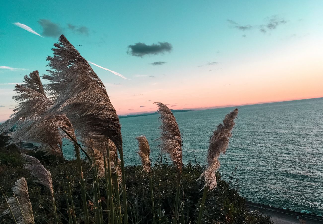 Appartement à Biarritz - ZORION- Perle Rare: 5 min Plage 🏖  & Centre