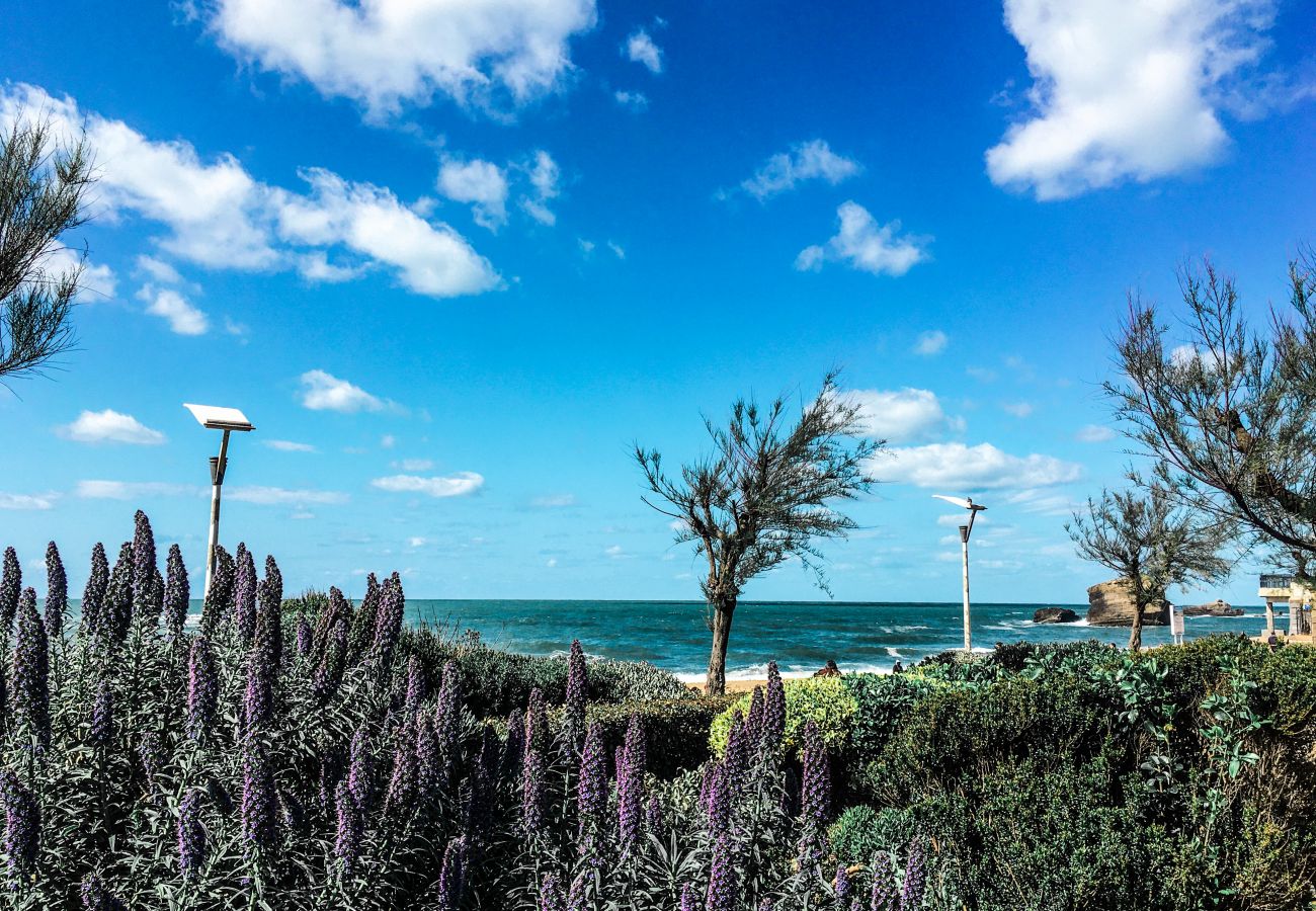Appartement à Biarritz - KORALA- Superbe 4 pers entre Plage & Centre!🏖