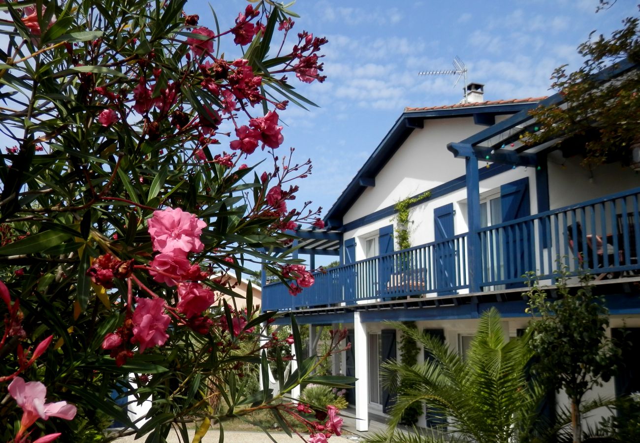Appartement à Biarritz - OSABA- Superbe T3 Proche Plage & Terrasse🌊