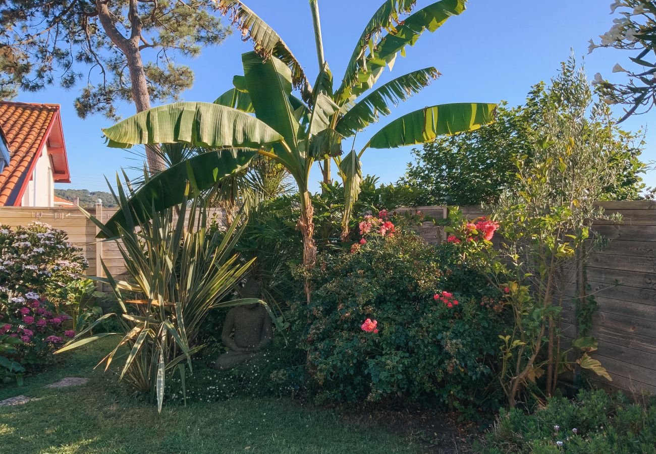 Appartement à Biarritz - OSABA- Superbe T3 Proche Plage & Terrasse🌊